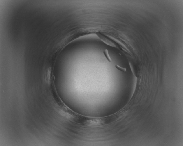 X0000070180118200605301401