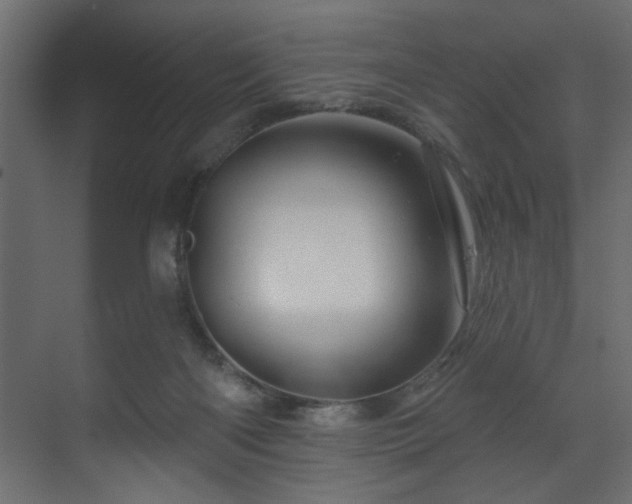 X0000070180122200605301401