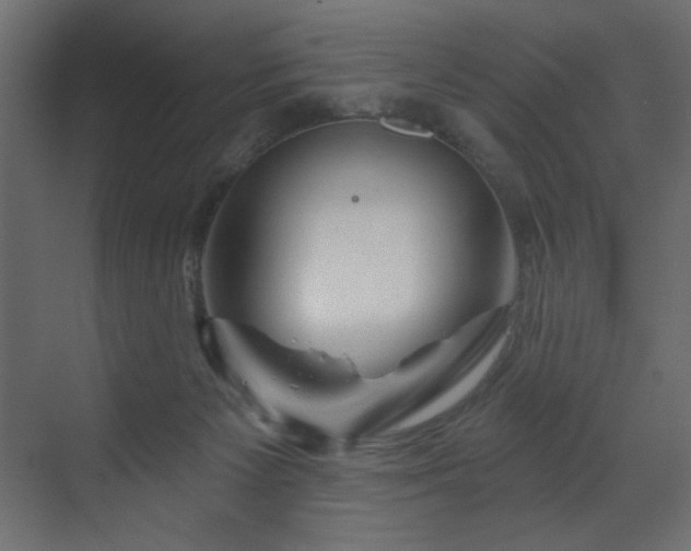 X0000070180125200605301401
