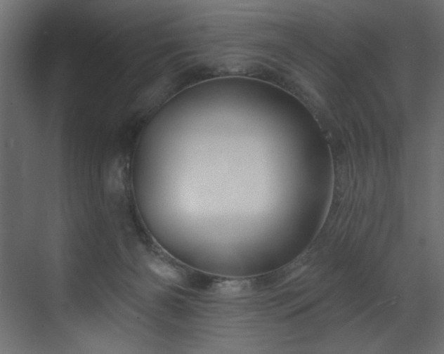 X0000070180126200605301401