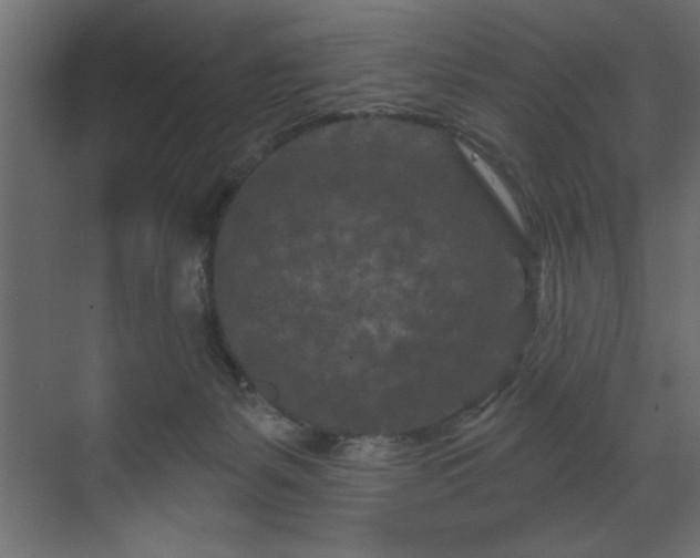 X0000070180127200605301401