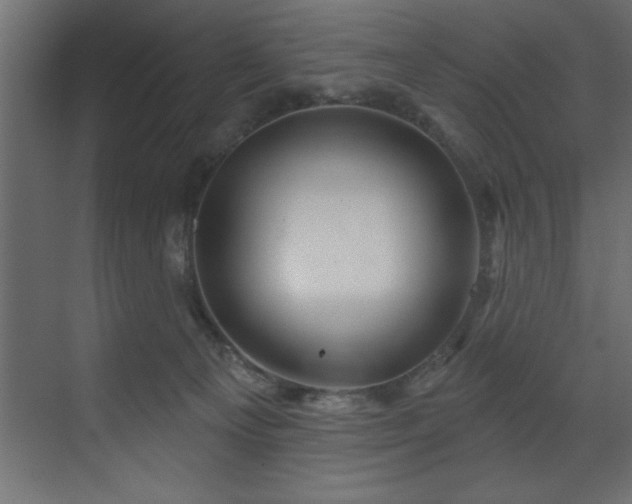 X0000070180129200605301401