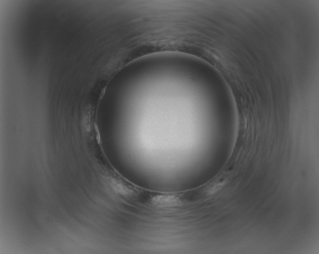 X0000070180133200605301401