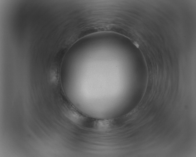 X0000070180134200605301401