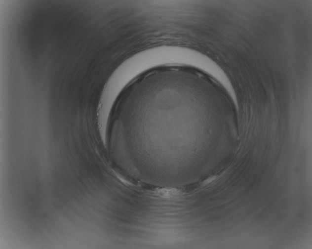 X0000070180137200605301401