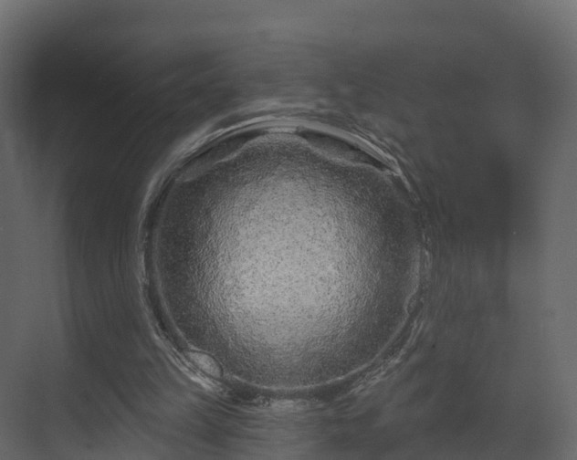 X0000070180149200605301400