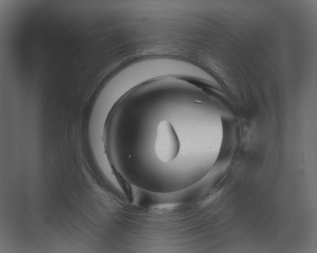 X0000070180164200605301400