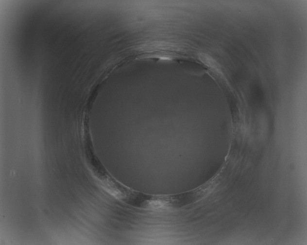 X0000070180167200605301400