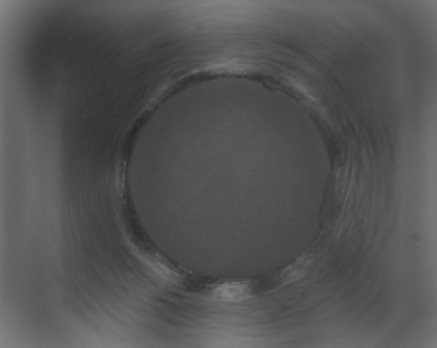 X0000070180168200605301400