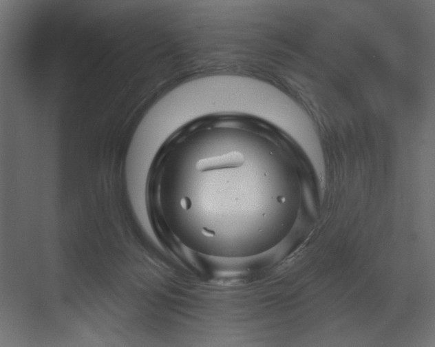 X0000070180172200605301400