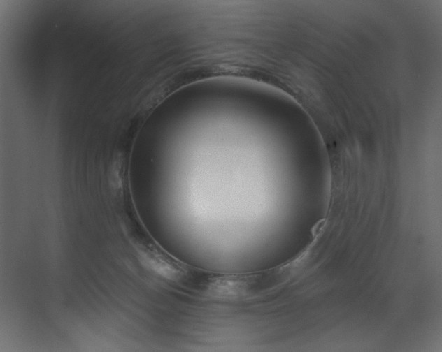 X0000070180174200605301400