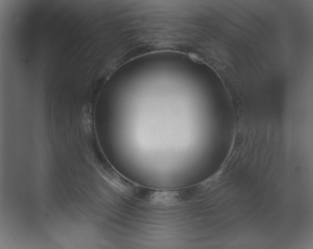 X0000070180179200605301400