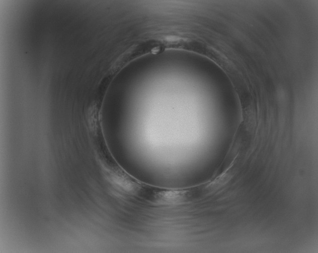 X0000070180184200605301401