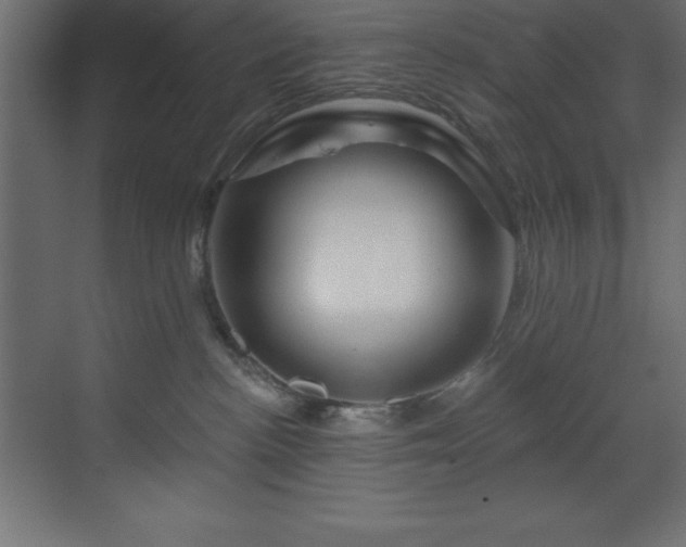 X0000070180188200605301401