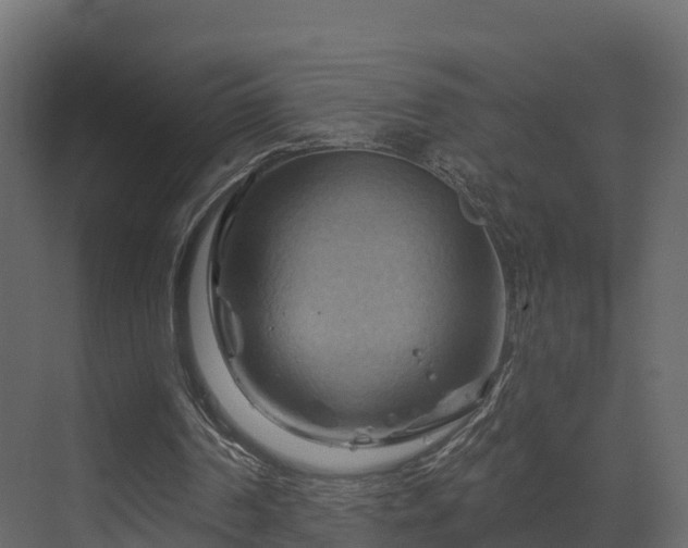 X0000070180194200605301400