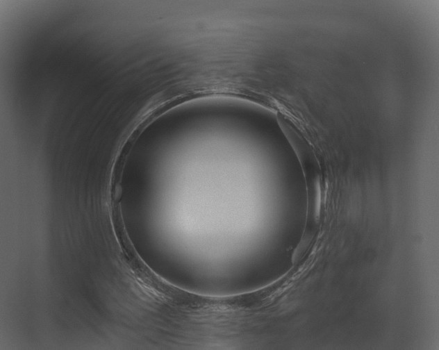 X0000070180195200605301400