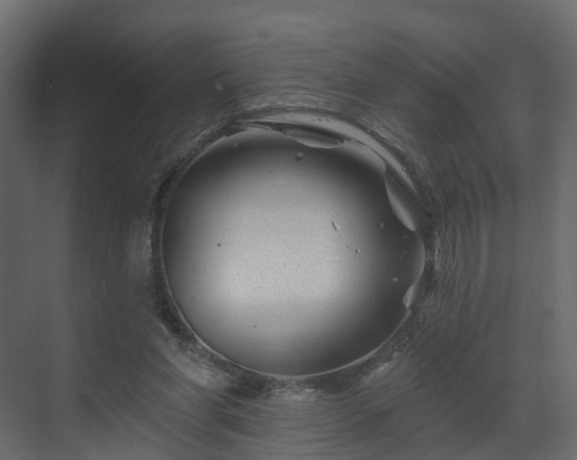 X0000070180206200605301400