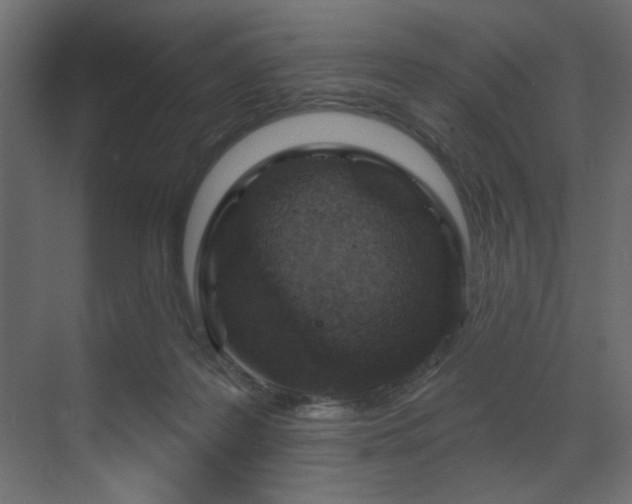 X0000070180219200605301359