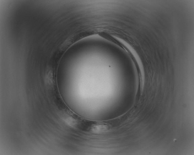 X0000070180220200605301359