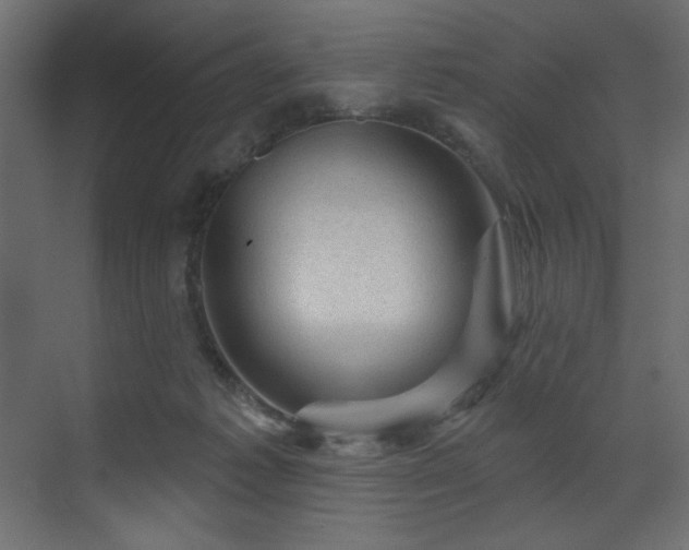 X0000070180221200605301359