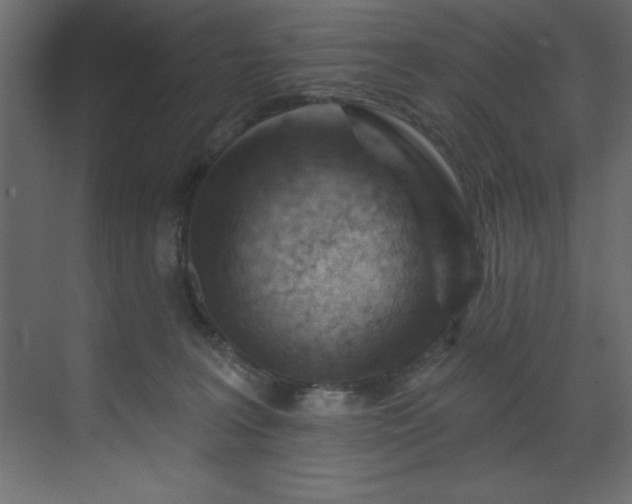 X0000070180227200605301359