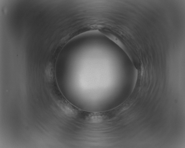 X0000070180228200605301359