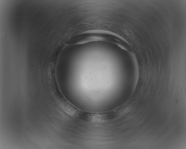 X0000070180229200605301359
