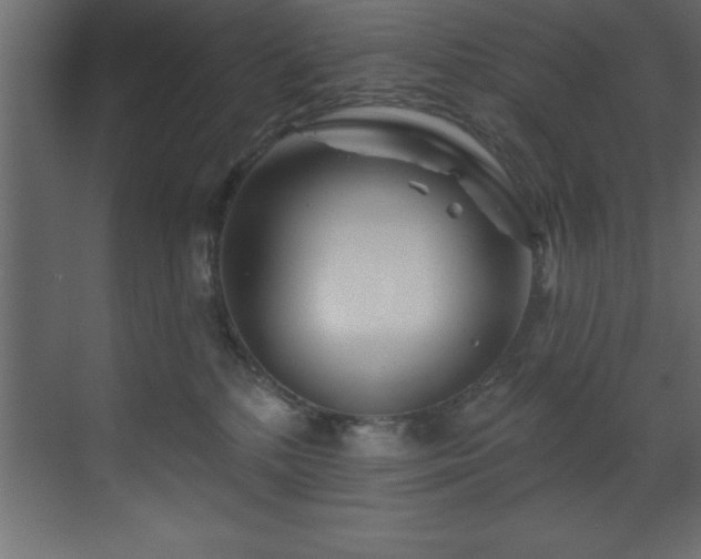 X0000070180232200605301359