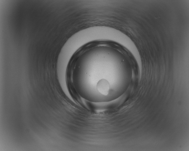 X0000070180237200605301359