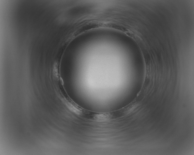 X0000070180238200605301359