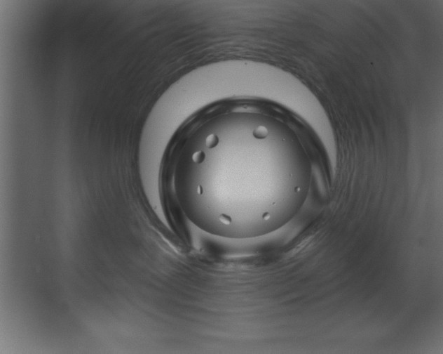 X0000070180239200605301359