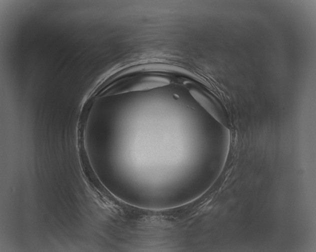 X0000070180244200605301358
