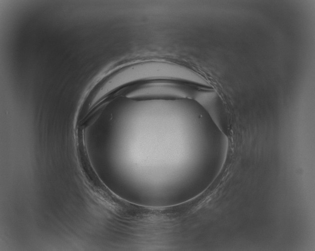 X0000070180246200605301358