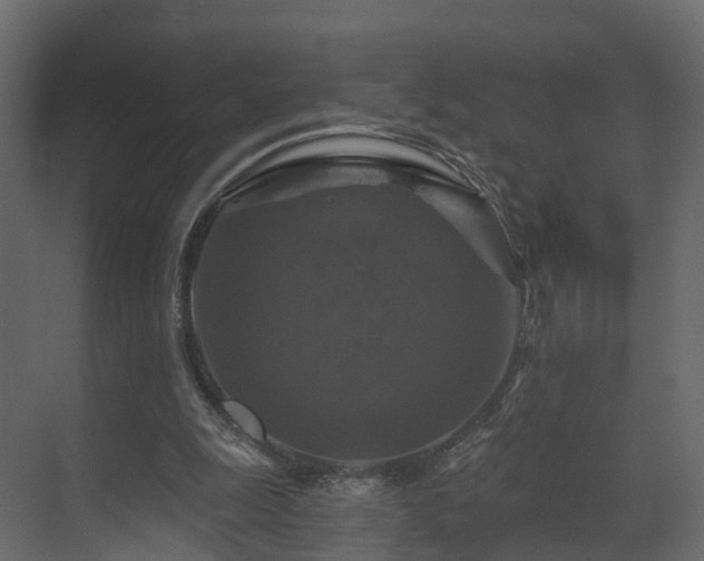 X0000070180247200605301358