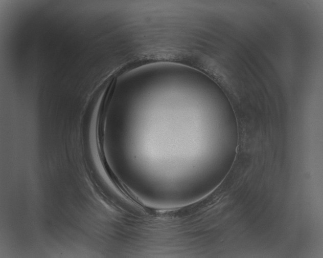 X0000070180251200605301358