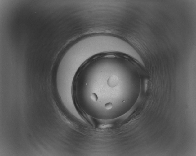 X0000070180256200605301359
