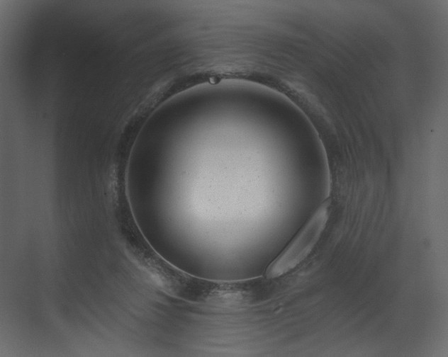 X0000070180260200605301359