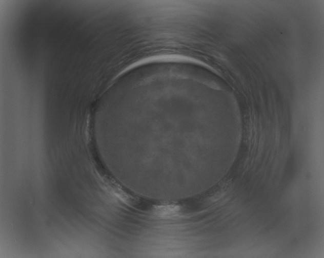 X0000070180266200605301359