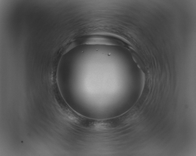 X0000070180268200605301359