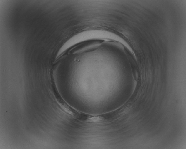 X0000070180269200605301359