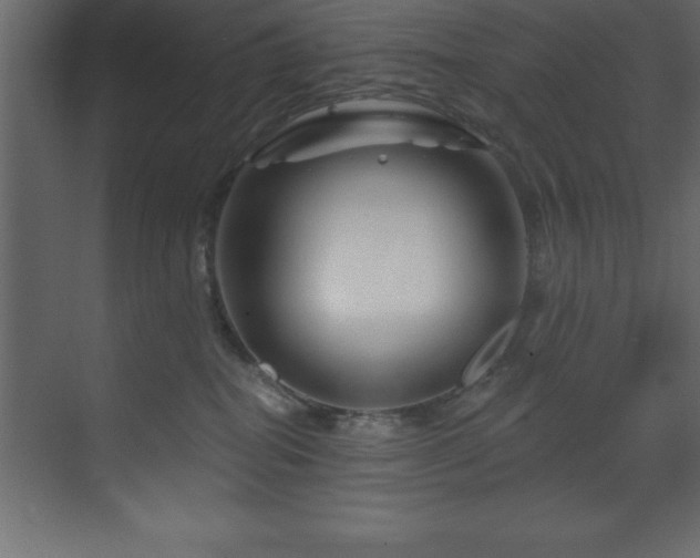 X0000070180282200605301359