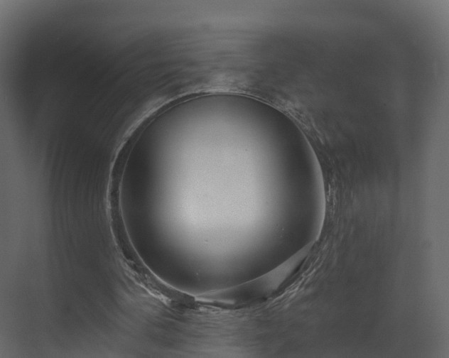 X0000070180292200605301358