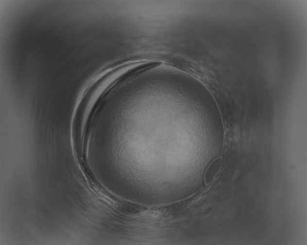 X0000070180294200605301358