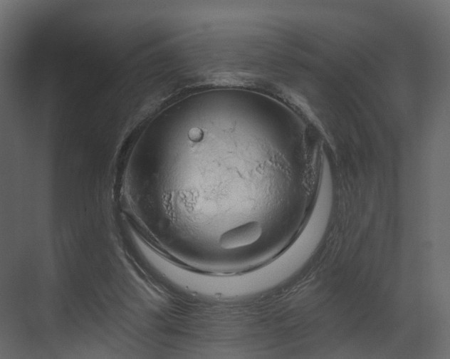 X0000070180299200605301358