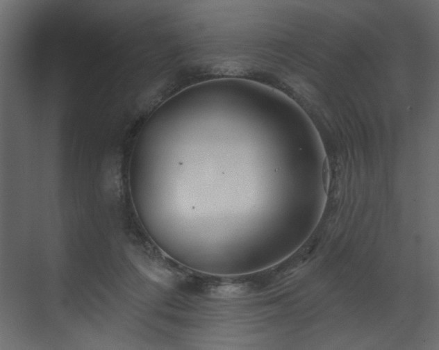 X0000070180312200605301358