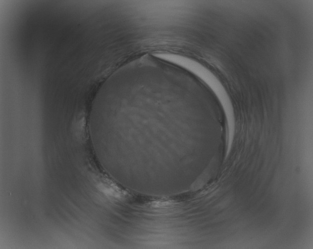X0000070180314200605301358