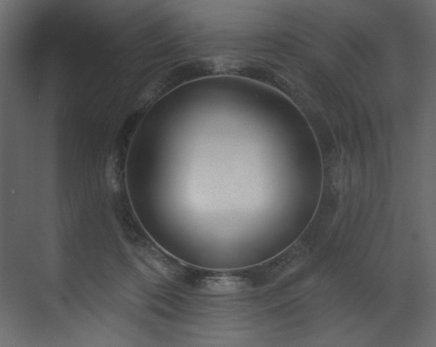 X0000070180316200605301358