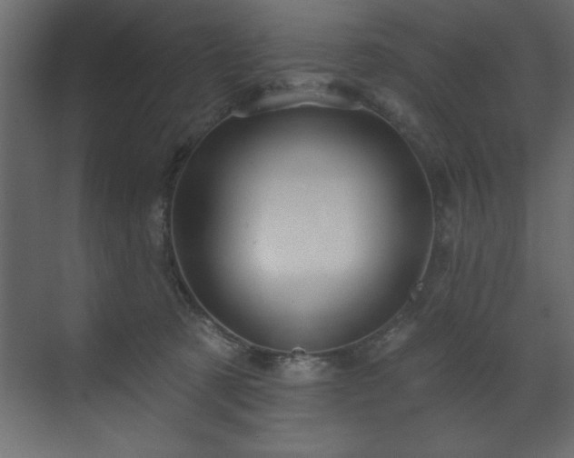 X0000070180321200605301358