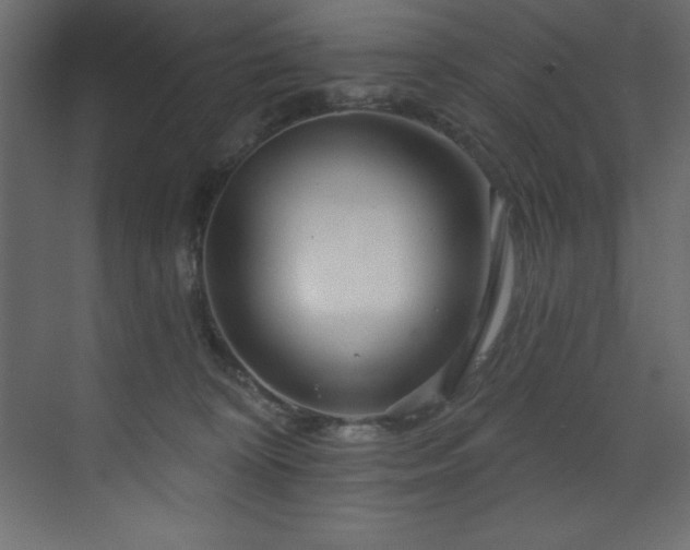 X0000070180324200605301358