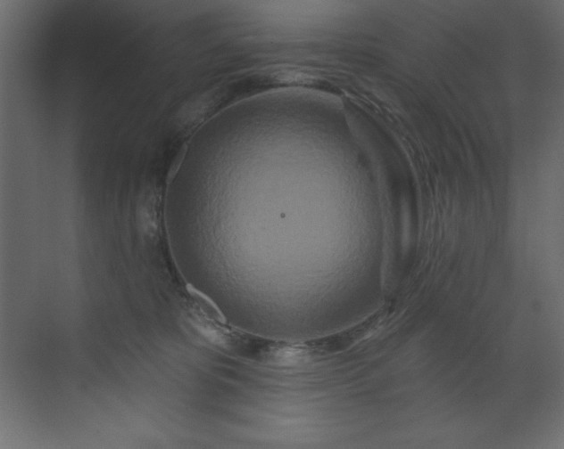 X0000070180325200605301358